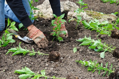 Secure landscaping payment area showing safe processing and compliance