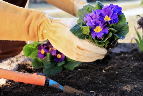 Planting and garden soft landscaping near Mayfair properties