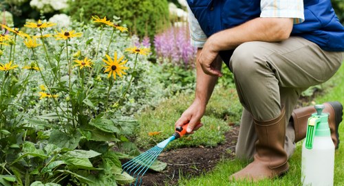Senior review of a landscaping service issue