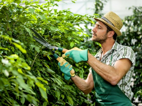 Waste handling and liability clauses for landscaping work