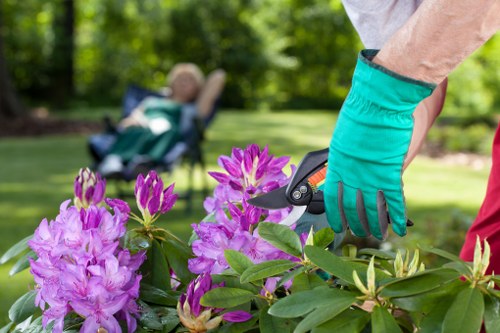 Final review of a landscaping complaints procedure document