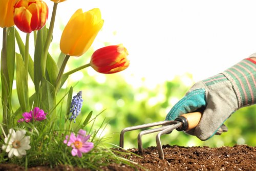 WCAG 2.1 AA accessibility standards for Mayfair landscaping pages