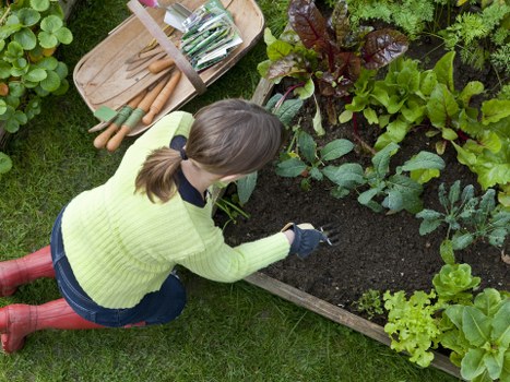 Ongoing accessibility review for Landscaping Mayfair website