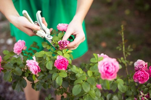 Landscaping Mayfair payment security with SSL encryption and trusted methods