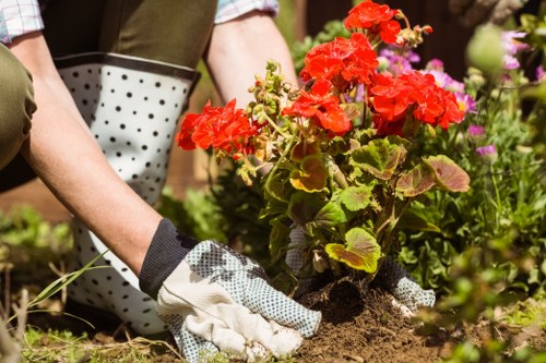 Professional landscaping team maintaining safe work practices