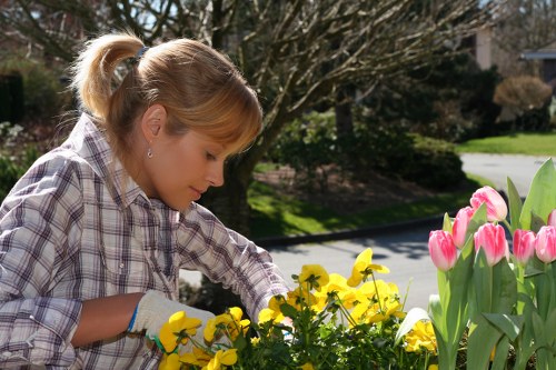 Keyboard navigation and accessible site structure for Mayfair landscaping